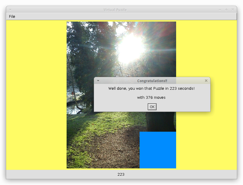 The same park image puzzle arranged correctly with a dialog congratulating the user, 376 moves in 223 seconds.